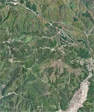 烏帽子山林道4.jpg