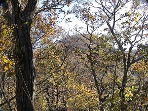 秋の登山道南保富士を望む.jpg