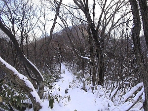 登山道冬.jpg
