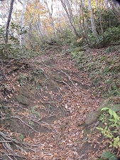 秋の登山道.jpg