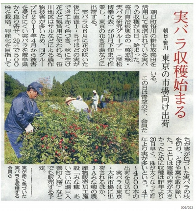 新聞記事.jpg