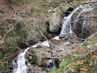 岩の上を水が流れる.jpg